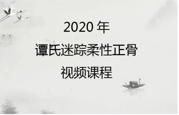 2020年谭氏迷踪柔性正骨视频课程实战干货【百度网盘下载】