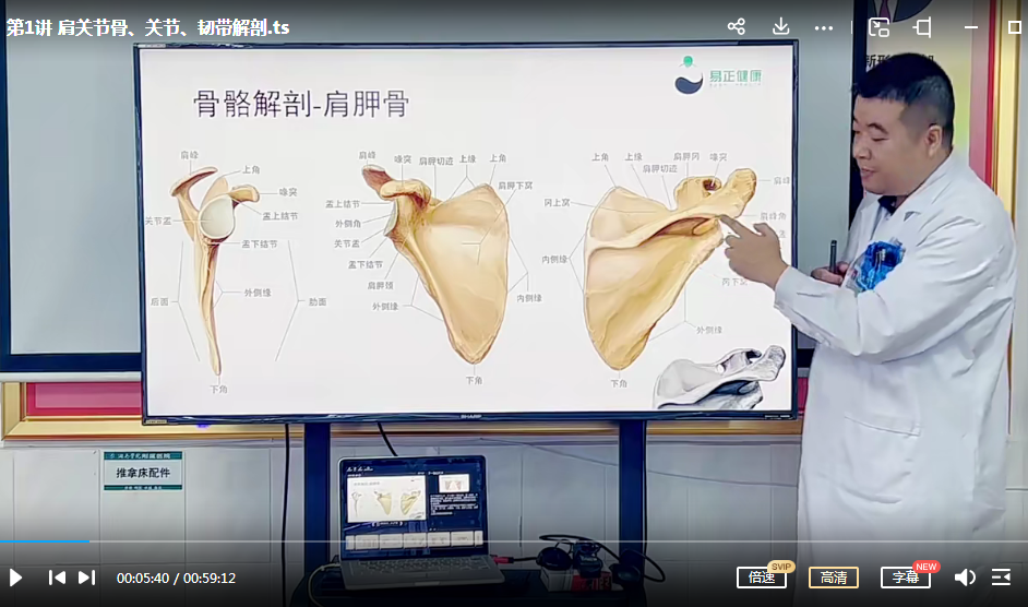 图片[3]-纽松涛老师肩关节精准诊疗整合视频教程-百度网盘下载