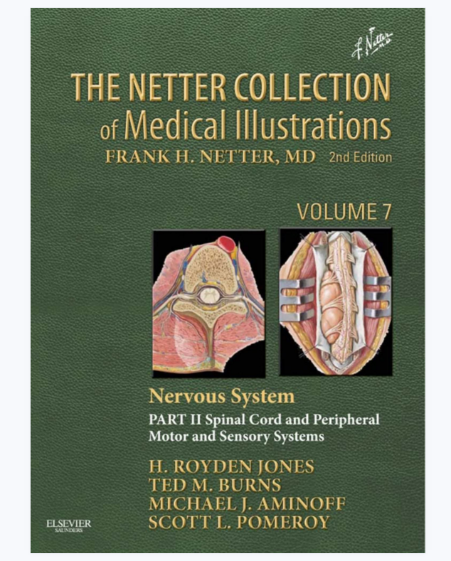 图片[3]-奈特绘图版医学全集第7卷：神经系统 英文版全套（原书第2版）.彩图PDF电子书下载