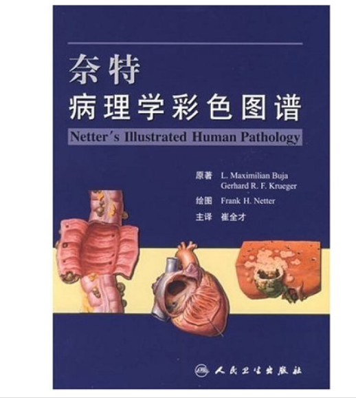 图片[2]-《奈特病理学彩色图谱》崔全才主译.PDF电子书下载