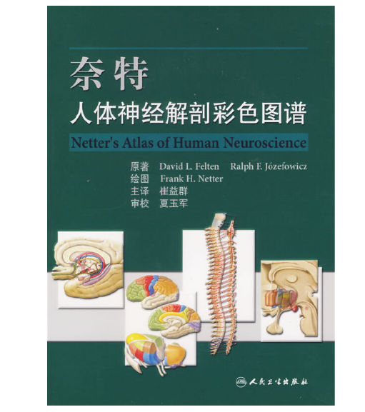 《奈特人体神经解剖彩色图谱》崔益群  主译.PDF电子书下载