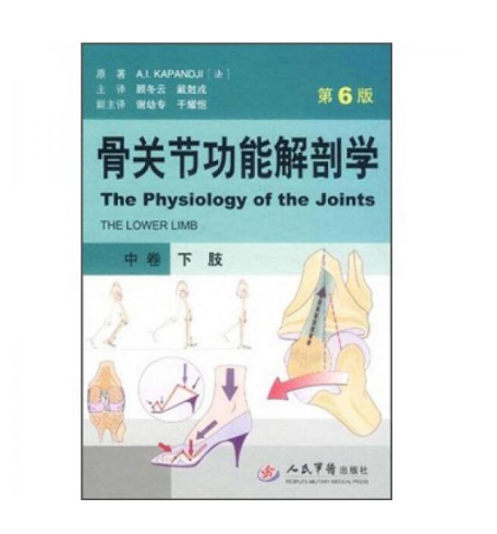 图片[2]-骨骼肌肉功能解剖学(中卷下肢)（第6版）顾冬云主译.PDF电子书下载
