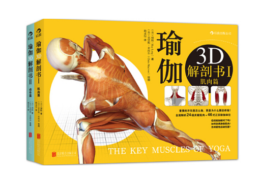 图片[2]-瑜伽3D解剖书:肌肉篇+动作篇（两套）.PDF电子书下载