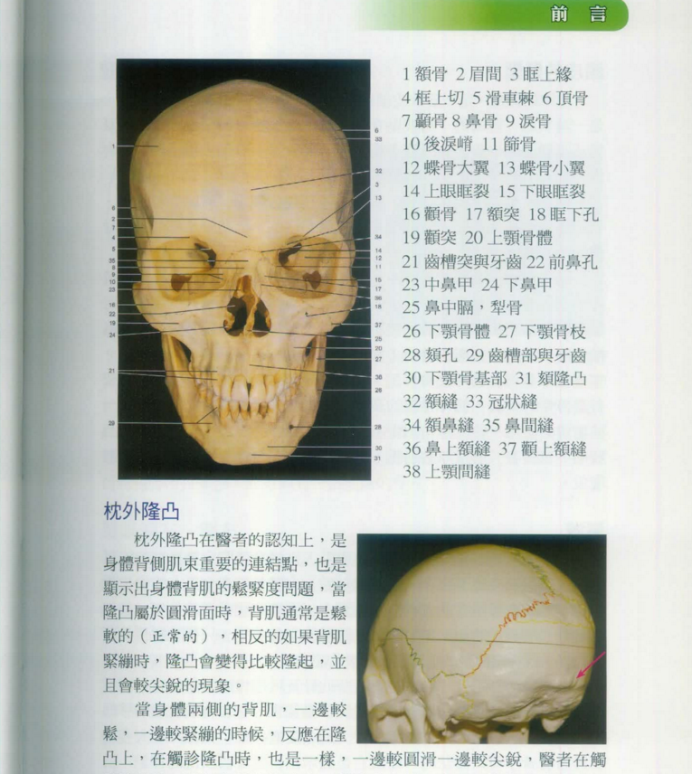 图片[4]-泳田医学：头盖骨疗法（台版）.PDF电子书下载