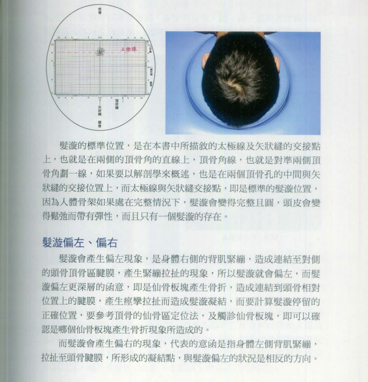 图片[5]-泳田医学：头盖骨疗法（台版）.PDF电子书下载