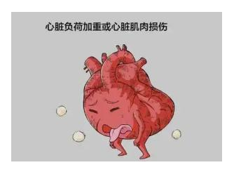 图片[1]-【健康知识】天气炎热心脏负担加重，这8种最伤心脏的行为一定要避免！